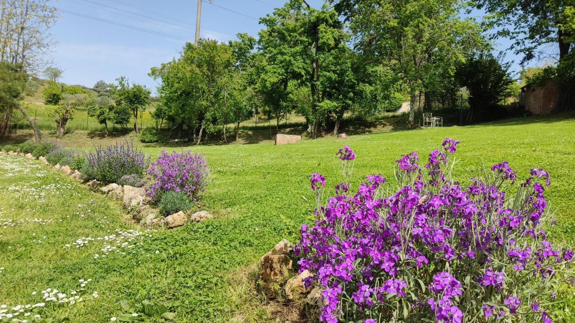 Agriturismo Le Grondaie Siena Eksteriør billede